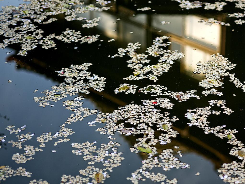Nanten-En Kawachinagano Luaran gambar